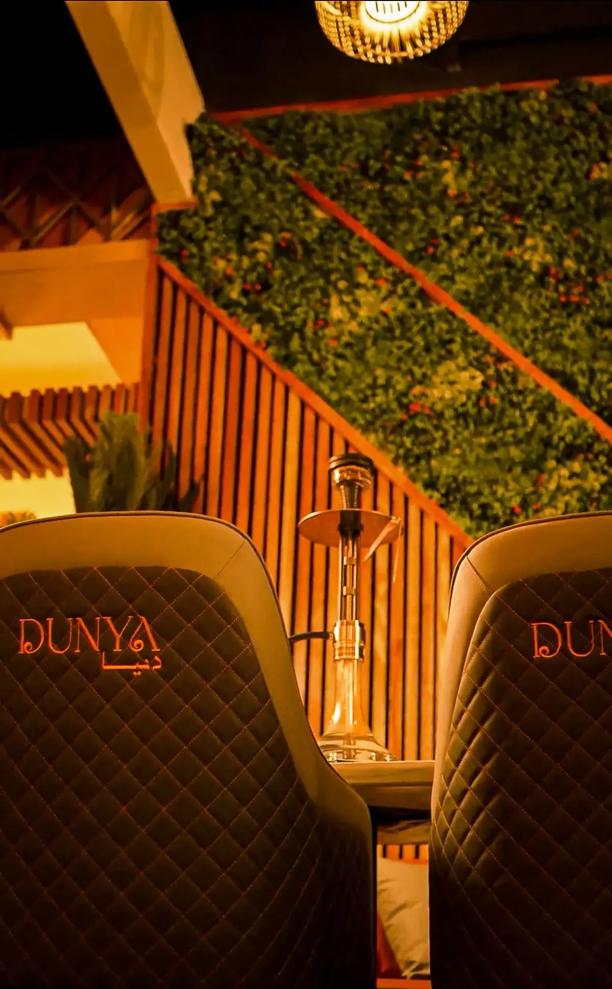 Premium hookah lounge at Dunya Lounge San Diego with branded leather booths and green living wall